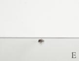 images/gallery/strumenti/scudo/scudo-personale-6.jpg
